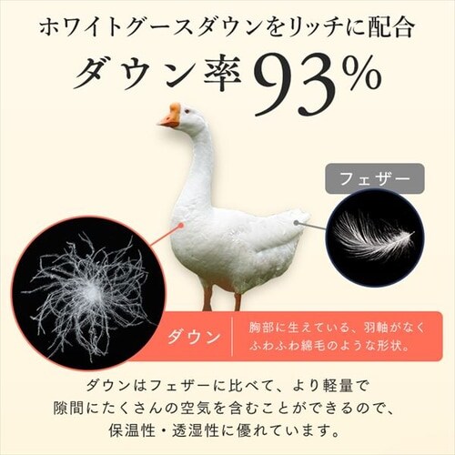 �H�ѕz�c WGD93% 1.4kg �_�u�������O_7