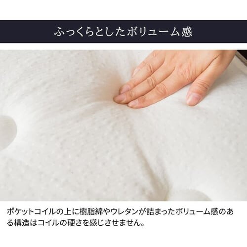 2�w�|�P�b�g�R�C���}�b�g���X �\�t�g �n�[�h �_�u���T�C�Y PMT2S-D �S1�F_9