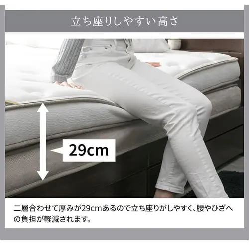 2�w�|�P�b�g�R�C���}�b�g���X �\�t�g �n�[�h �_�u���T�C�Y PMT2S-D �S1�F_12