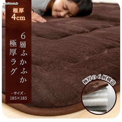 ��������6�w�Ɍ����O�����`185�~185 IRSW01BR �S2�F_2