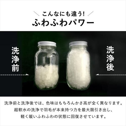 【2枚セット】西川 羽毛布団 ウクライナ産 SDD85% 1.1kg シングルロング 1440-50713 _9