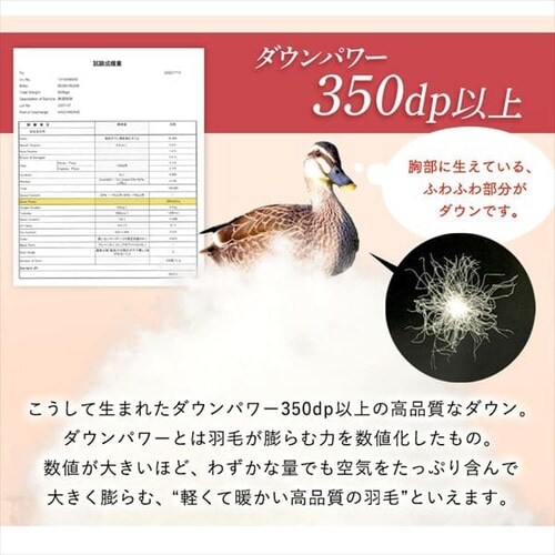 【2枚セット】西川 羽毛布団 ウクライナ産 SDD85% 1.1kg シングルロング 1440-50713 _12