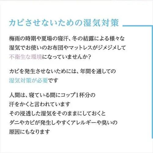 TEIJIN 帝人ベルオアシス 除湿シート(防ダニ加工/AG消臭機能付) キング ブルー 53/BJKX179.0000 _2