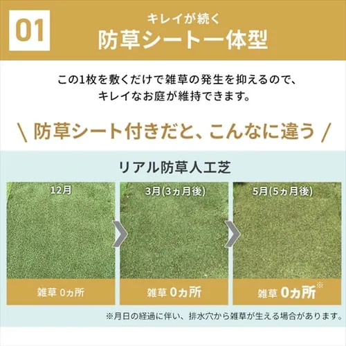 �y2�_�Z�b�g�z�l�H�� 2m�~10m �ŏ�30mm ���Y ���A������ ���[���^�C�v IP-30210 �yU���B48�{�t���z_7