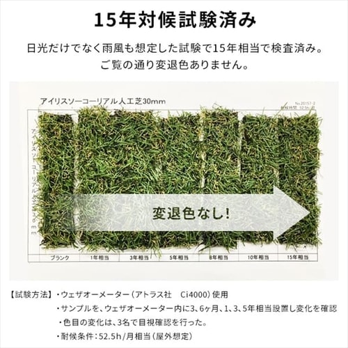 2点セット】人工芝 防草 2m×10m 芝丈30mm リアル質感 ロールタイプ RP