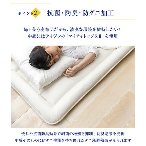 洗えるゴロ寝座布団 410379 全6色【プラザセレクト】_6