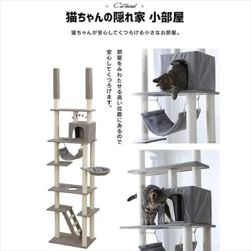 キャットタワー 突っ張り ベージュ CCCT-4060T _7