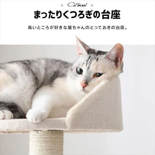 キャットタワー 据え置き ベージュ CCCT-4355S _6