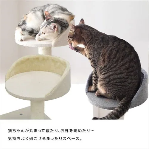 キャットタワー 据え置き ベージュ CCCT-4355S _7