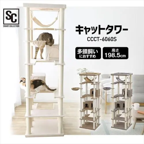 �L���b�g�^���[ CCCT-6060S �S3�F_2