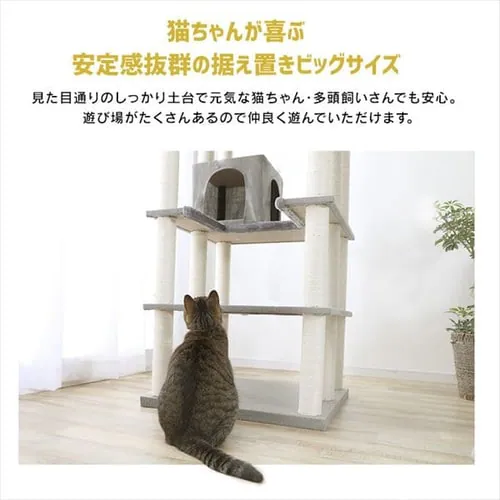 �L���b�g�^���[ CCCT-6060S �S3�F_3