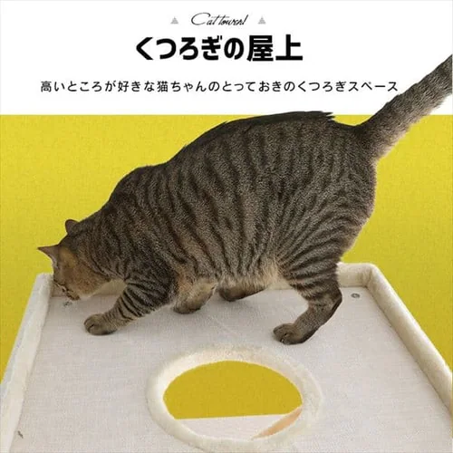 �L���b�g�^���[ CCCT-6060S �S3�F_5