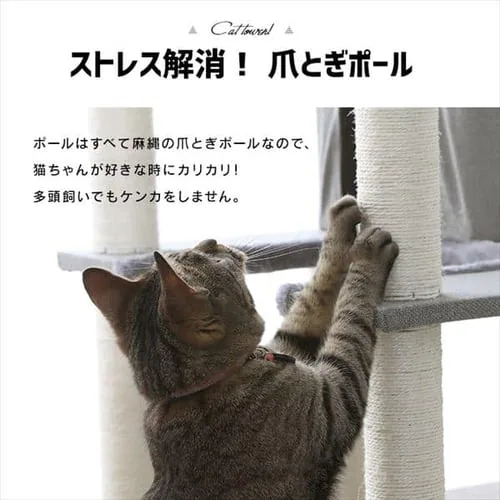 �L���b�g�^���[ CCCT-6060S �S3�F_12