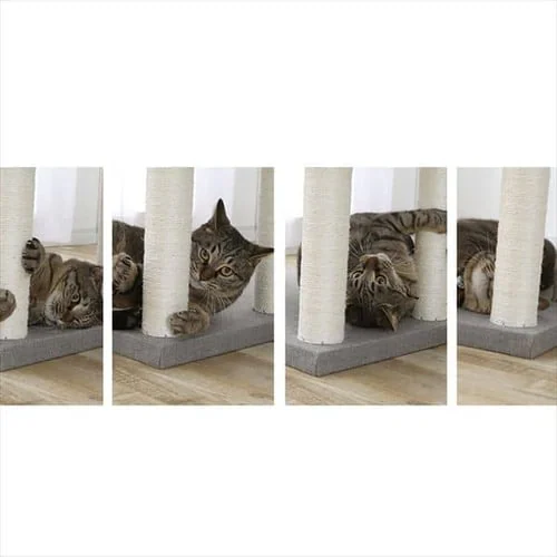 �L���b�g�^���[ CCCT-6060S �S3�F_13