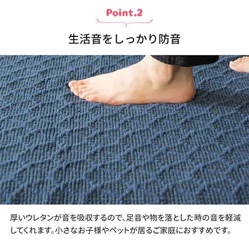 ���O�p���~�� ���O�p�b�g 120�~175cm RGPD-S �O���[_5