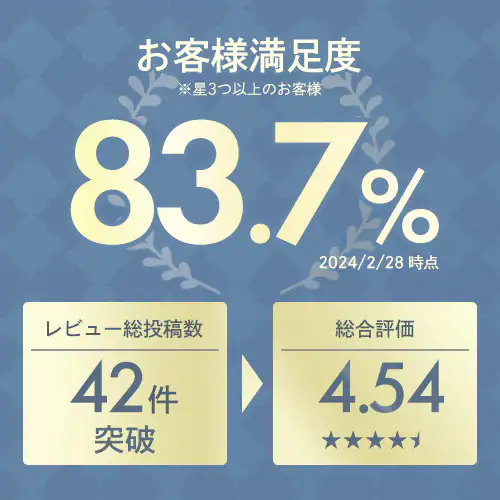 ソファ 2人掛け 収納付き STSB-2110 ブラウン 【プラザセレクト】【代引き不可】_2