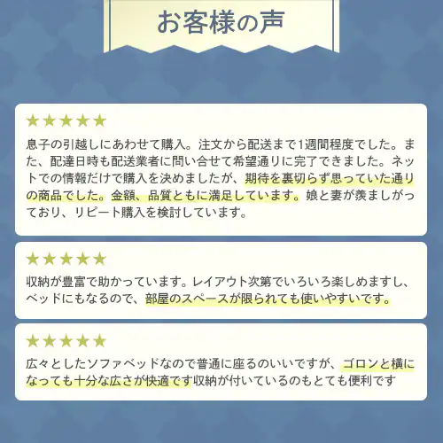 ソファ 2人掛け 収納付き STSB-2110 ブラウン 【プラザセレクト】【代引き不可】_3