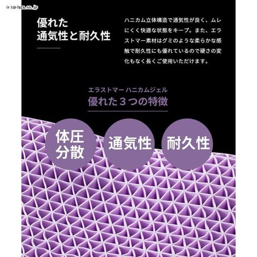 �n�j�J���W�F����w�n�C�u���b�h���^�t���[�g �z���C�g�^�O���[ CGHJP-3555 _13