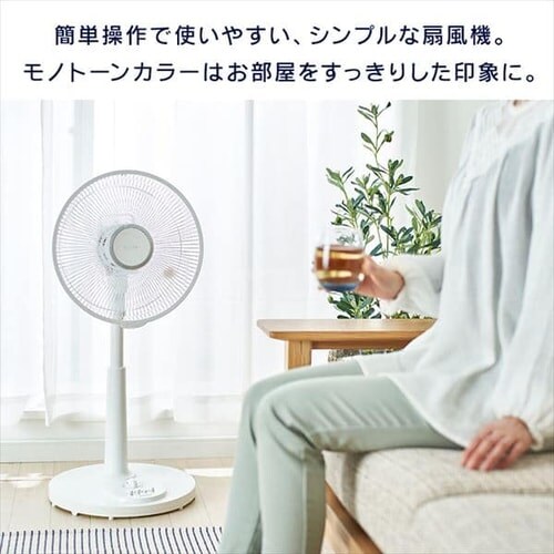 ��@ ���E��U�� PF-301RA-W �z���C�g_2