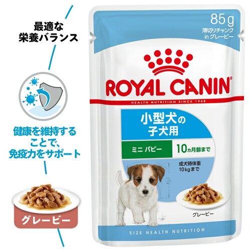 ロイヤルカナン ドッグフード 小型犬用 ウェットフード RCJ SHN-WET ミニ パピー 85g SHN(サイズ ヘルス ニュートリション)rcdb68_2