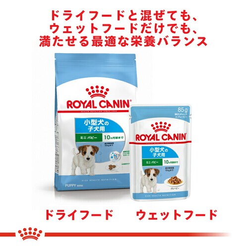 ロイヤルカナン ドッグフード 小型犬用 ウェットフード RCJ SHN-WET ミニ パピー 85g SHN(サイズ ヘルス ニュートリション)rcdb68_6