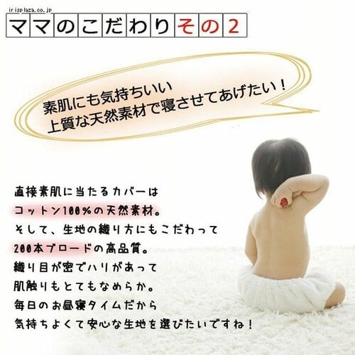 �|���ѐD �����Q5�_�Z�b�g�@KBD81-067 �S6�F_5