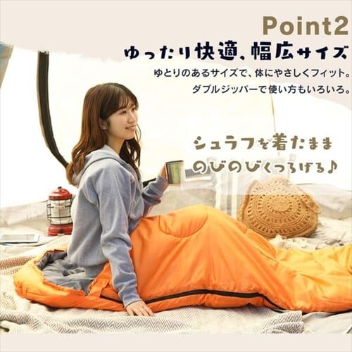 �A�����V�����t ALSF-R R�l�C�r�[_6