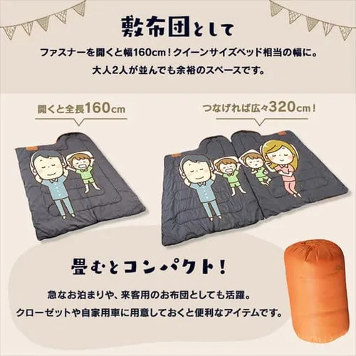 �A�����V�����t ALSF-R R�l�C�r�[_9