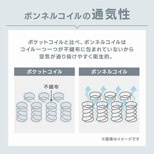 �x�b�h �V���O�� �r�t���}�b�g���X �{���l���R�C�� �A�C�{���[_12