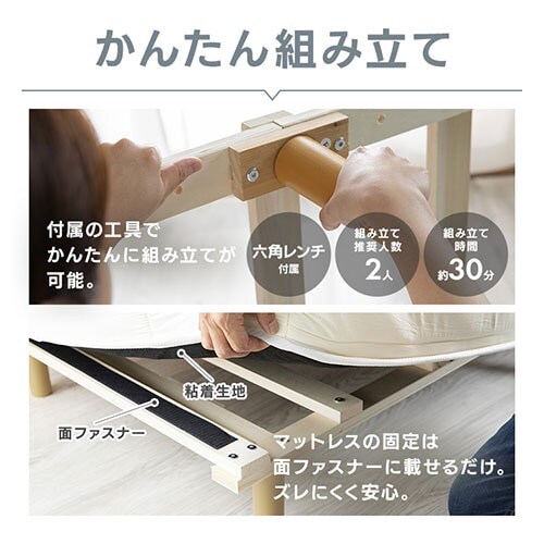 �y�󂠂�z�x�b�h �Z�~�_�u�� �r�t���}�b�g���X �{���l���R�C�� �u���E��_8