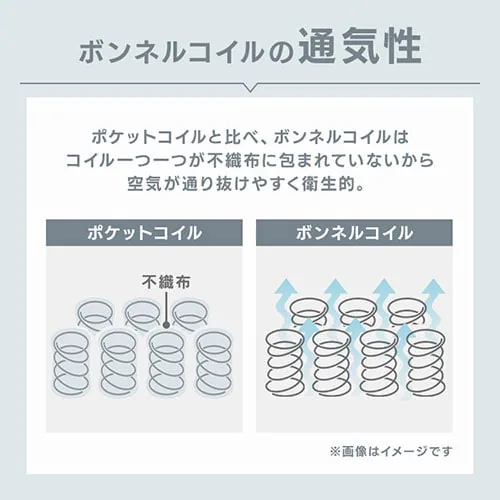 �y�󂠂�z�x�b�h �Z�~�_�u�� �r�t���}�b�g���X �{���l���R�C�� �u���E��_12