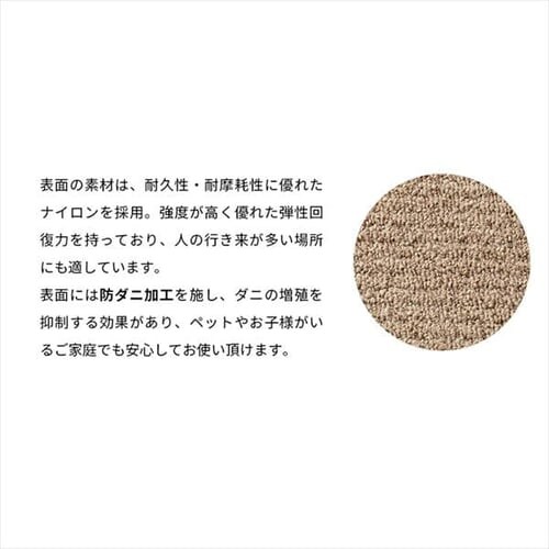 �h���E�h�_�j�^�C���J�[�y�b�g SPTKP-50 20���Z�b�g �N���~_4