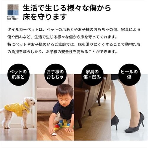 �h���E�h�_�j�^�C���J�[�y�b�g SPTKP-50 20���Z�b�g �N���~_5