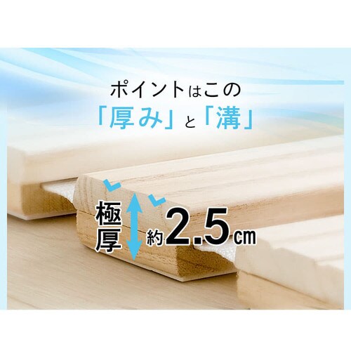 �x�b�h �V���O�� ���̂� �� ���[���� DBB-RTS _5