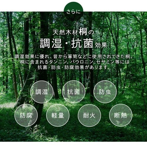 �x�b�h �V���O�� ���̂� �� ���[���� DBB-RTS _7