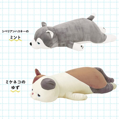 ��Ԃ͂��� �v���~�A���˂ނ˂� �����܂���L �W���C�y�v���U�Z���N�g�z_5