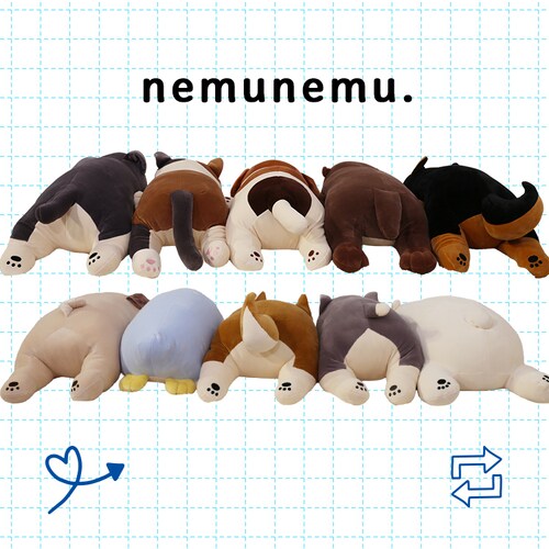 ��Ԃ͂��� �v���~�A���˂ނ˂� �����܂���L �W���C�y�v���U�Z���N�g�z_12