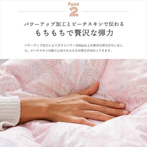 �H�ѕz�c�@�V���O�������O�@�z���C�g�_�b�N�_�E��85�� 1.0kg �S3�F�y�v���U�Z���N�g�z_6