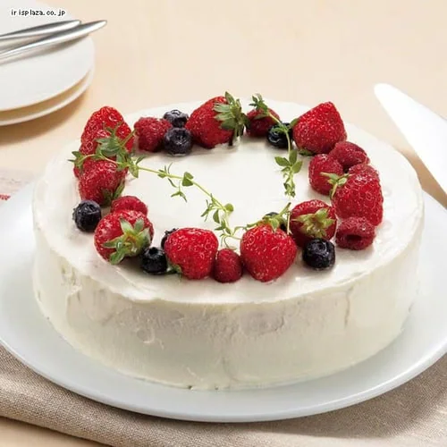 �V�t�H���E�f�R���[�V�����P�[�L�Ă��^ 20cm 40066 _7