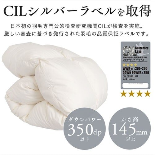 �H�ѕz�c �V���O�������O ���Y WDD90% 350dp 1.0kg �x�[�W�� �y�����z _8