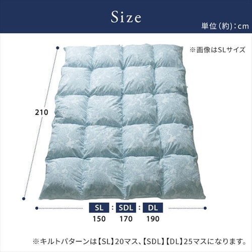 �H�ъ|���z�c �z���C�g�_�b�N�_�E�� WDD93%1.4kg ���n �_�u�� �x�[�W���y�����z _19