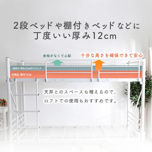 �}�b�g���X �_�u�� �|�P�b�g�R�C�� ����12cm PTM12-D  _2