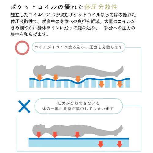 �}�b�g���X �_�u�� �|�P�b�g�R�C�� ����12cm PTM12-D  _5