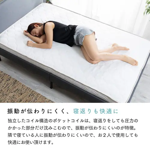 �}�b�g���X �_�u�� �|�P�b�g�R�C�� ����12cm PTM12-D  _7