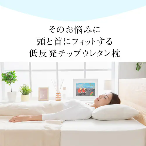 �ᔽ���`�b�v�E���^���� �z���C�g LHTM-14 _4