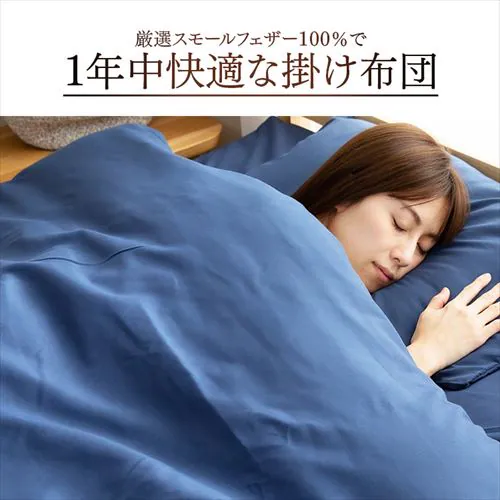 �y7�_�z �z�c�Z�b�g �V���O�� �t�F�U�[100% �{�[�_�[�A�C�X�O���[ _5