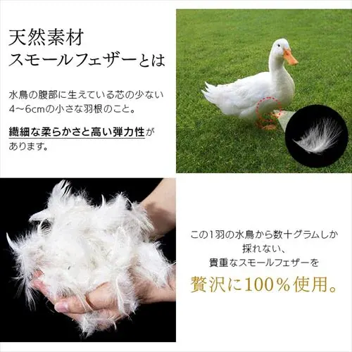 �y�󂠂�z�y7�_�z �z�c�Z�b�g �V���O�� �t�F�U�[100% �A�C�{���[ _6