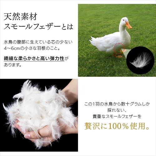 �y5�_�z �z�c�Z�b�g �V���O�� �t�F�U�[100% �u���b�N _5