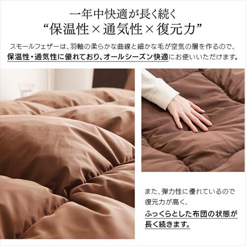 �y5�_�z �z�c�Z�b�g �V���O�� �t�F�U�[100% �u���b�N _7