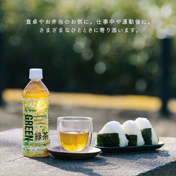 48本】 ほうじ茶 ラベルレス 500ml【代引き不可】 7269129 │アイリス